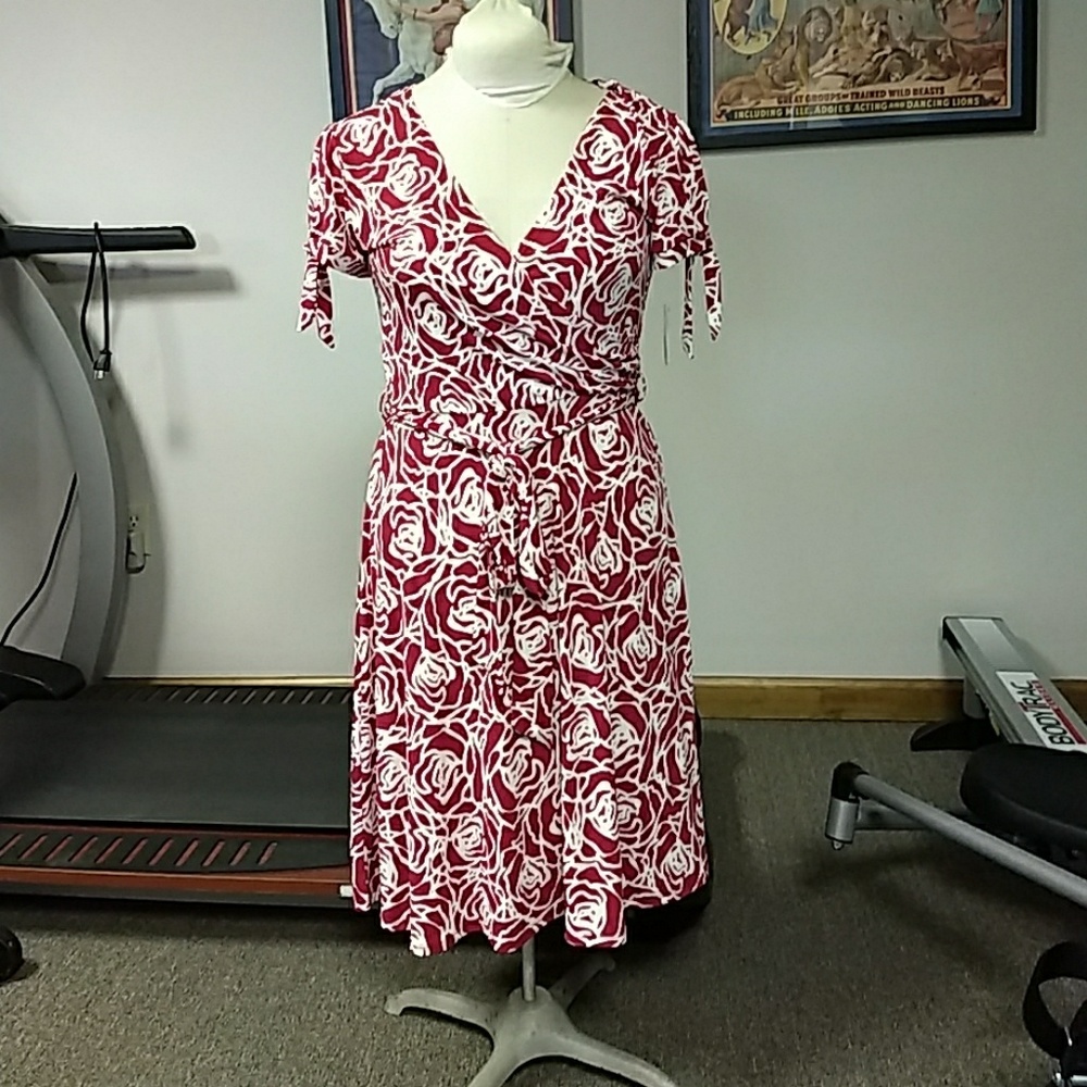 NWT V-neck Dress with Rose Pattern & Belt/Tie